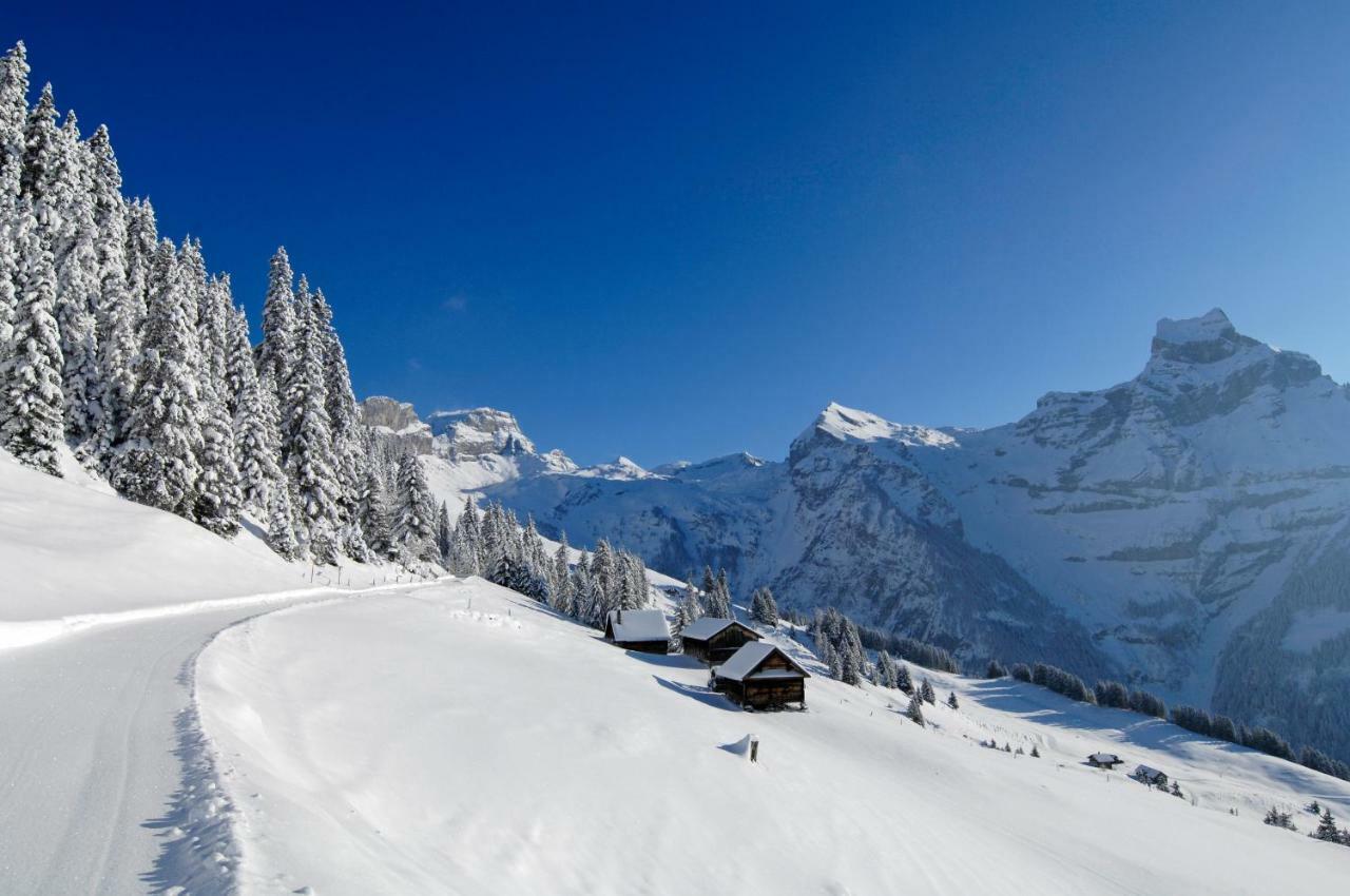 Berglodge Ristis Engelberg Exterior photo